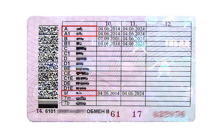 Russian Driver's License for Americans: The Shared Values Visa Guide 1 i Move to Russia - in 6 months